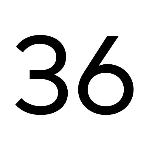Icon 36